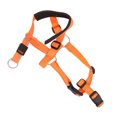 thumbnail image 4 of Dog Head Harness, Dog Head Collar Adjustable Strap Breathable Practical  For Camping Orange,Blue,Red, 4 of 8