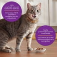 thumbnail image 4 of Meow Mix Tenders in Sauce Wet Cat Food Variety pack 12ct, 4 of 7