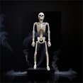 thumbnail image 4 of Posable Skeleton Halloween Decorations Poseable Skeleton With Realistic Movable Joints For Halloween Garden Outdoor Statues Outdoor Statues for outside Yard Decorations Statues Rainbow Ornament Set, 4 of 4
