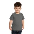 thumbnail image 1 of Port & Company Toddler Fan Favorite Tee. PC450TD, 1 of 1