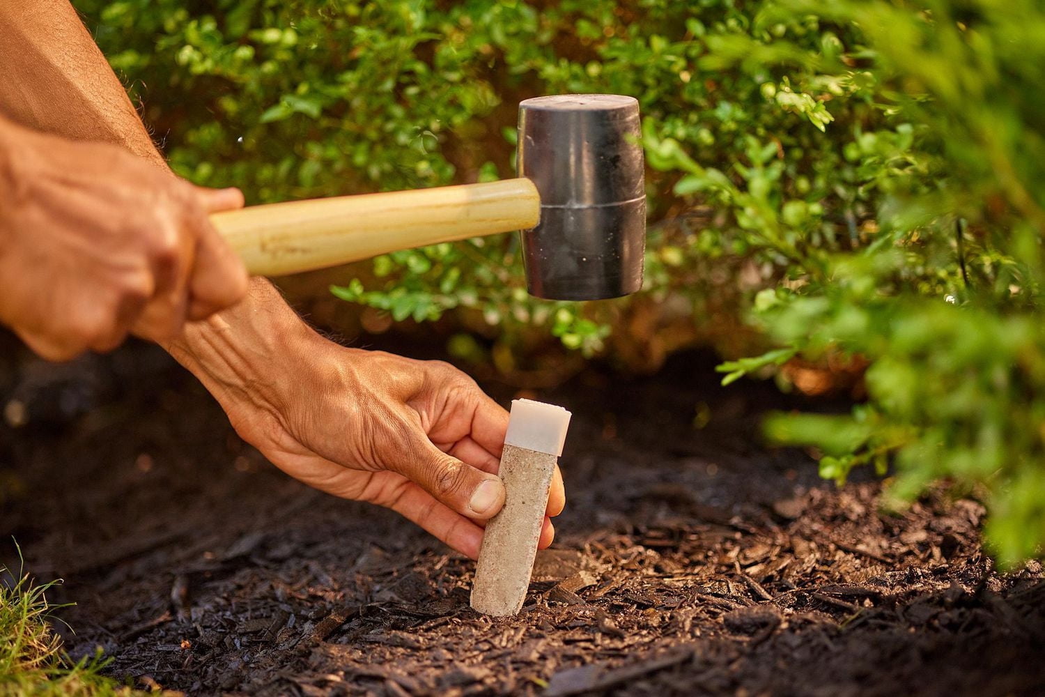 Bâtonnets d'engrais pour arbres et arbustes Miracle-Gro® 15-5-10