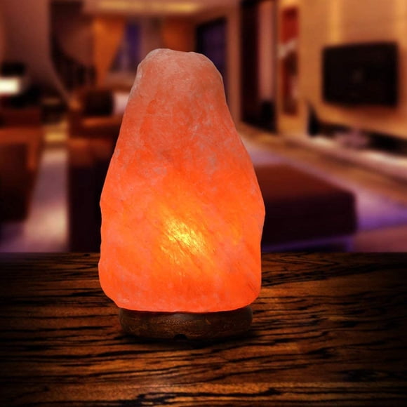 Lampe en Sel Rose de l'Himalaya Naturel de 9 Pouces avec Variateur et Ampoule Supplémentaire, Idée-Cadeau Unique par Apex Global