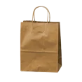 thumbnail image 1 of Dorfin – Sacs d'Achats en Papier Kraft, Lot de 250, 1 of 1