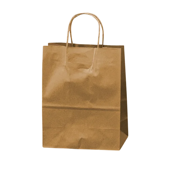 Dorfin – Kraft Paper Shopping Bags Pack of 250