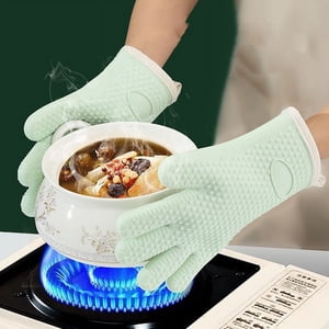 PRETXORVE isolé, Écaillé, Four isotherme de cuisine, four à micro-ondes à haute température