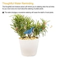 thumbnail image 4 of Decodeary Testeur d'Humidité de Sol en Résine Oiseaux Testeur d'Humidité pour Plantes Humide Intérieur Extérieur Jardin Ferme Rappel d'Arrosage avec Merveilleux Chant Bleu, 4 of 6