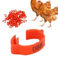 thumbnail image 4 of Chicken Foot Rings, Retractable Six Card Slots 10pcs/set Poultry Leg Bands Safe And Non-  For Poultry For Outdoors For Daily For Home Red, 4 of 8