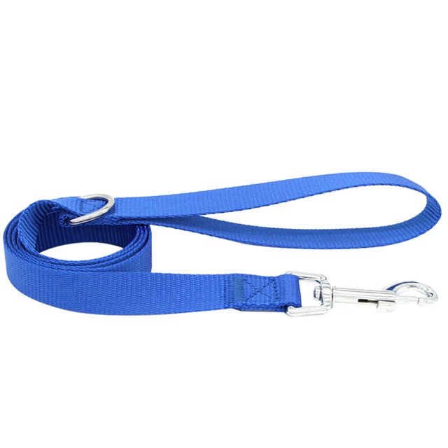 Laisse de Marche pour Animaux de Compagnie, Corde de Marche en Nylon pour Extérieur, Laisse de Marche pour Animaux de Compagnie avec Boucle et Clip, Fournitures pour Animaux, Bleu, 1.5x120cm