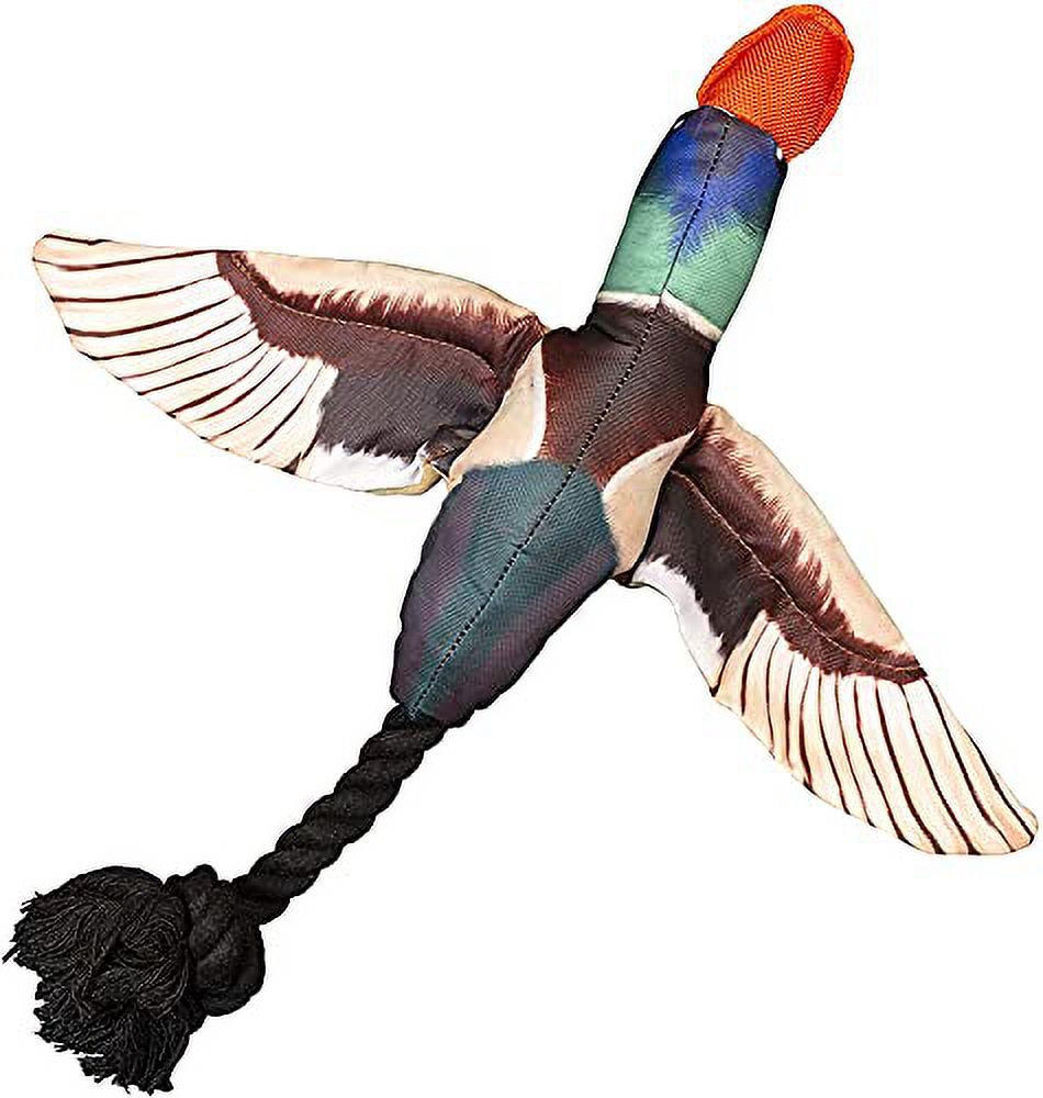 Fly & Fetch Launching Dog Toy