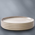 thumbnail image 3 of Corelle® Stoneware Dinner Plates, Oatmeal, Reactive Glaze, 4-pack, 3 of 3