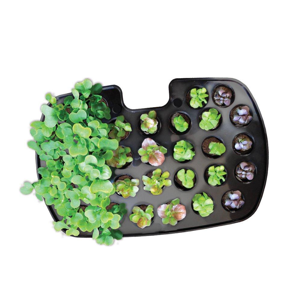 Miracle-GRO Système de Démarrage de Graines AeroGarden