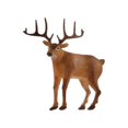 thumbnail image 3 of Milaget 1/64 Scale People Figures Delicate Park Street Scenes Layout Realistic Kids Gift Deer, 3 of 9