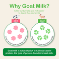 thumbnail image 3 of Capricare Whole Goat Milk Infant Formula, Stage 1 (0–6 Months) - 800g Powder, 3 of 10