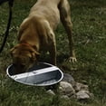 thumbnail image 4 of Little Giant Bol d'Eau pour Animaux en Acier Galvanisé de 13 Litres (2 Pack), 4 of 4
