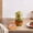 Orange, variant on Product Category Strainers - Ma Son Jar Sprouting Lid and Be An Sprout Rout Sprout Lid Microgreens Growing Kit Germination Kit for Broccoli
