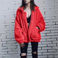 thumbnail image 3 of Ladies Loose Plush Long Sleeve Zipper Pullover Pocket Color Sweater Coat, 3 of 6