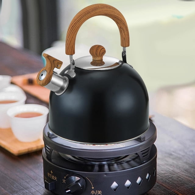 Elodie Whistling Kettle Electric Induction Cooker Kettle for Camping Fishing Indoor 2L