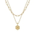 thumbnail image 1 of Colliers à Initiale Superposés pour Femmes, Collier Chaîne Trombone Simple Mignon Pendentif Lettre Hexagone Collier Ras-du-Cou à Initiale Colliers Superposés Dorés pour Femmes,NGold, 1 of 5