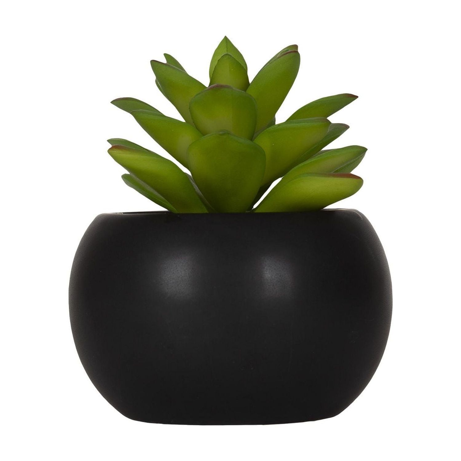 DesignOvation Succulente artificielle de table de 10,5 cm de haut dans un pot en céramique noire