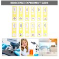 thumbnail image 3 of 12pcs Prepared Microscope Slides Specimen Plants Sample Specimens Slides, 3 of 7