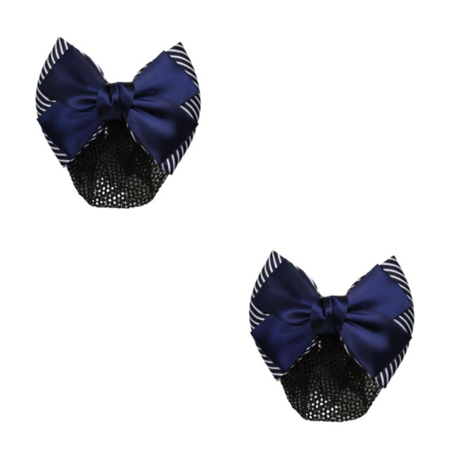 Decodeary Professional Hair Plate Mesh Pocket Practical Snood Net Elegant And Professional Thick Stripes- Blue 2Set