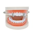 thumbnail image 3 of segolike 18K Golden Plated Single Grill Hip Hop Halloween -, 3 of 9