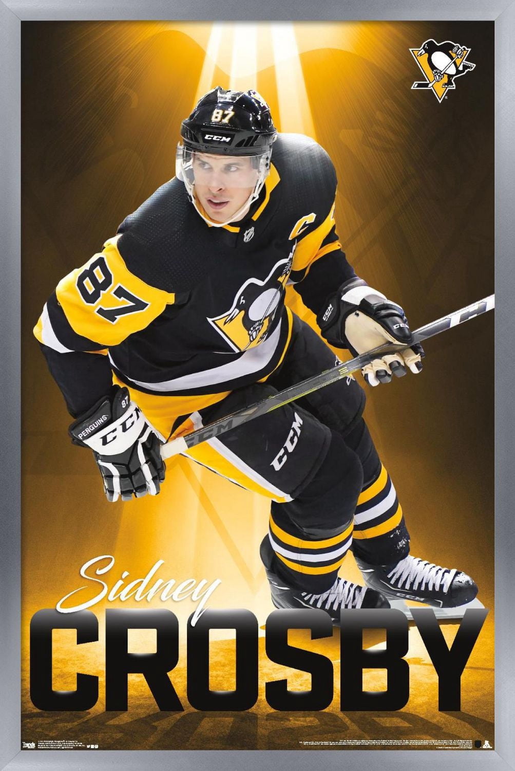 NHL Pittsburgh Penguins - Sidney Crosby 18 Wall Poster