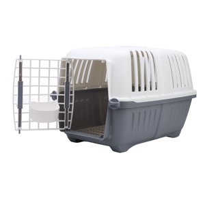 Pet Transporteur, facile à nettoyer porte-greffe pour chiens pour chats chiens lapin