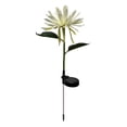 thumbnail image 1 of Pompotops Solar Epiphyllum Lamp Outdoor Courtyard Decoration Floor Insertion LED Lamp Clearance, 1 of 1
