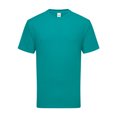 thumbnail image 1 of Fruit Of The Loom T-Shirt Iconique 195 Ringspun Premium pour Hommes, 1 of 3