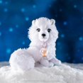 thumbnail image 2 of Elf Pets®: An Arctic Fox Tradition - French, 2 of 3