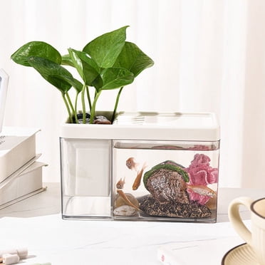 Aquarium pour Poissons, Mini Bac à Betta Polyvalent, Petit Bac à Poissons de Bureau de Bureau, Bac à Poissons Dorés, Aquarium en Plastique Pratique, Bac de Rangement pour Poissons avec Porte-Stylo, Créer un Paysage de Bureau Différent