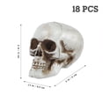 thumbnail image 4 of Halloween Skulls Plastic Head Skeleton Mini Heads Decor Prop Ornament Prank Human Hallween Bulk Model Decorations, 4 of 7