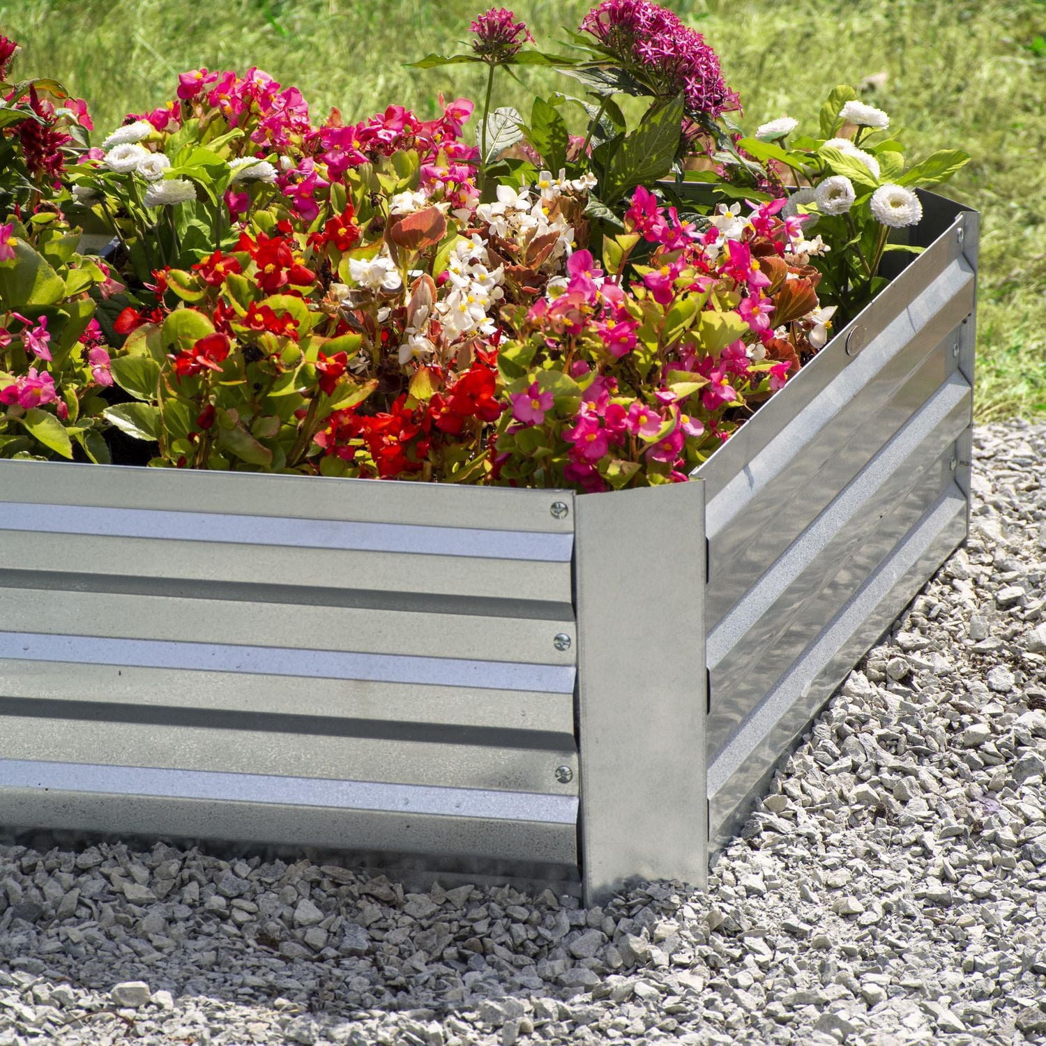 Grapevine Galvanized Steel Raised Garden Bed, Rectangular, Silver