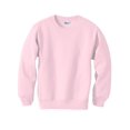 thumbnail image 1 of Hanes ComfortBlend EcoSmart Chandail à Col Rond pour Garçon, TP, Rose Pâle, 1 of 1