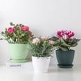 thumbnail image 3 of Jardinières Rondes pour Plantes – Pots de Fleurs avec Plateau pour Succulentes, Bureau et Jardin, 3 of 6