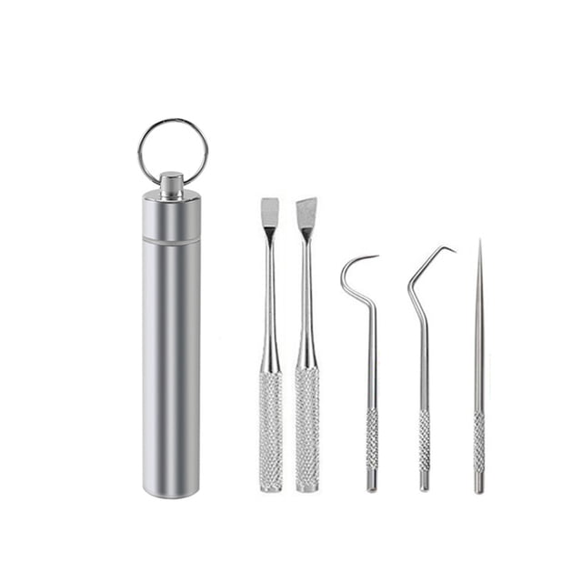 Cure-dents de Voyage Cure-Dents de Nettoyage des Dents Barbecue Fourchette à Fruits Réutilisable Lavable Hydropulseur Dentaire Multifonction avec Support 5 Pcs
