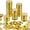 Gold, variant on Weloille 50 Pack Plastic Game Tokens, 0.07ft Gold Plated Round Tokens, Smooth Edge Wear Resistant, Board Game Party Decoration Treasure Hunt Prop Accessories