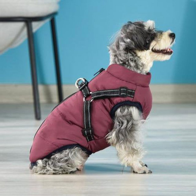 Warm Dog Jacket Snowproof Windproof Waterproof Dog Winter Coat for Cold Weather - Soft Fleece Lining and Warm Thick Padded Dog Snow Coat for Puppy Small Medium Large Dogs