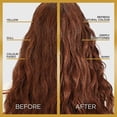thumbnail image 3 of L'Oréal Paris Le Color Gloss, One Step Hair Gloss, 3 of 8