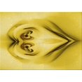 thumbnail image 1 of Ahgly Company Machine Washable Indoor Rectangle Transitional Caramel Brown Area Rugs, 2' x 5', 1 of 7