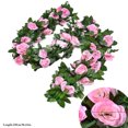thumbnail image 2 of Guirlande de Roses Artificielles Suspendue Simple Fausse Vigne de Roses Guirlande Florale Décoration, 2 of 10