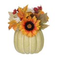 thumbnail image 4 of Citrouille verte au tournesol, 4 of 6