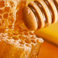 thumbnail image 3 of Earth to Skin Honey Starter Set, 3 of 9