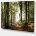 thumbnail image 3 of Designart Green Fall Forest with Sun Rays Canvas Wall Art, 3 of 4