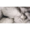 thumbnail image 4 of H-Luxe Hudson Faux Fur2'X3' Rug, 4 of 5