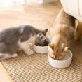 thumbnail image 4 of Cat Scratcher Mat Scratching Pad Grinding Claw Cat Claws Protect Sofa Board XL, 4 of 9