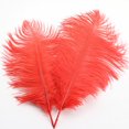 thumbnail image 1 of Plume D'Autruche 30-35 cm Décoration de Plumes Colorée 18# Rouge Vif D Plume (1*Plume), 1 of 7