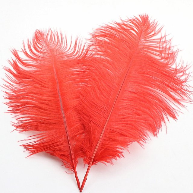 Plume D'Autruche 30-35 cm Décoration de Plumes Colorée 18# Rouge Vif D Plume (1*Plume)