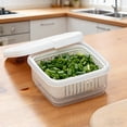 thumbnail image 1 of Food Storage Organizer Square Fruit Bowl with Drain Holes for Freshness and Fridge Storage - Compact Grape Cherry Berry Bowl for Kitchen Kitchenware and Pantry use, 1 of 3